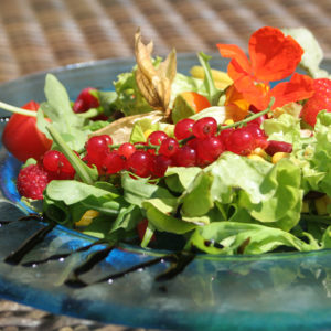 Taufstein Salat im Garten