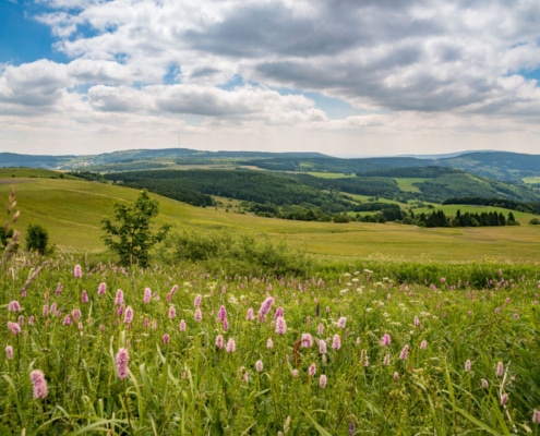 Tagungshotel Zum Taufstein am Sparhof in der Rhön