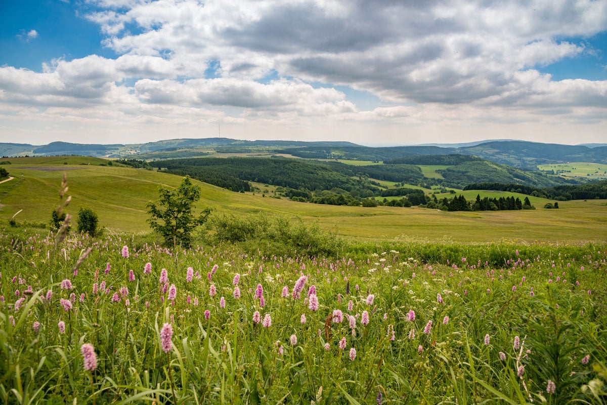 Tagungshotel Zum Taufstein am Sparhof in der Rhön Tagungshotel Zum Taufstein am Sparhof in der Rhön